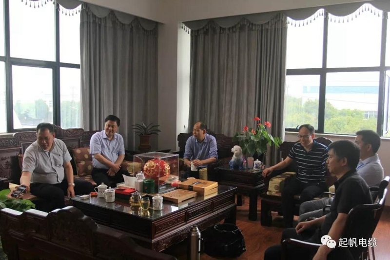 安徽省池州市市长雍成瀚等参观调研必威betway中文版官网入口总部