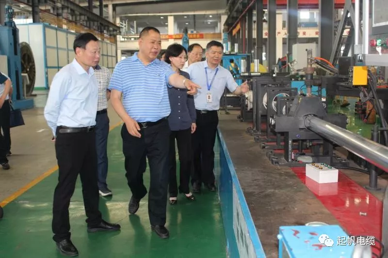 池州市委书记王宏等参观调研必威betway中文版官网入口总部