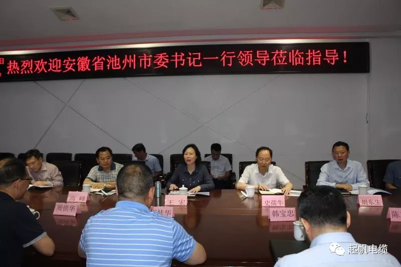 池州市委书记王宏等参观调研必威betway中文版官网入口总部