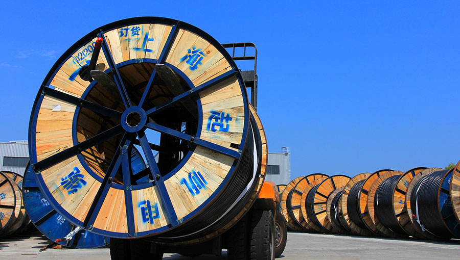 上海必威betway中文版官网入口股份有限公司荣获“全国质量诚信标杆企业”