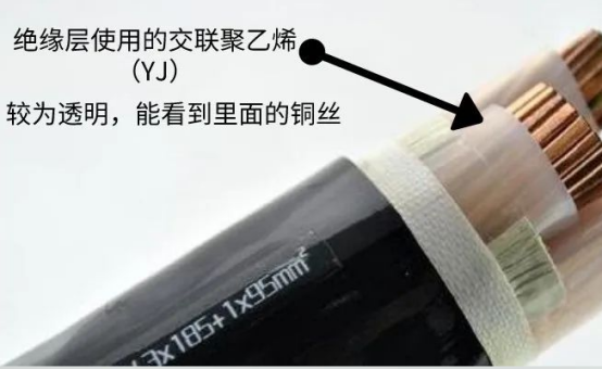 sceyyYJV电缆透明