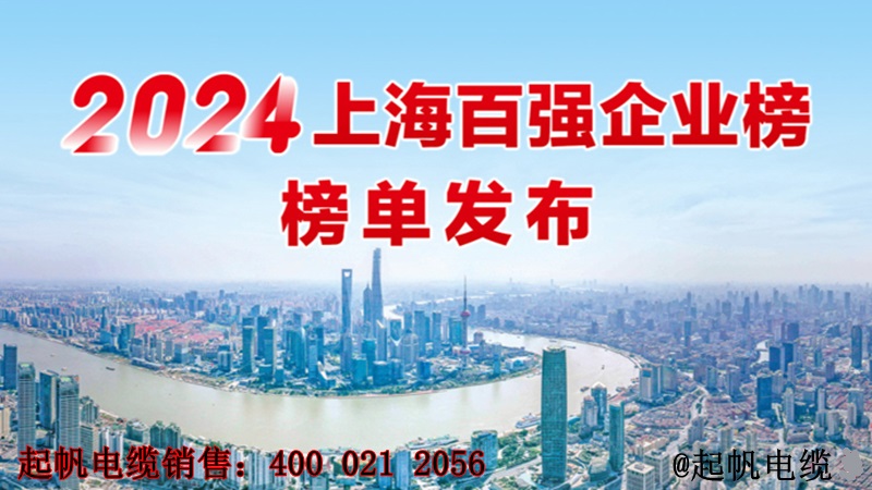 2024年上海百强企业榜单发布